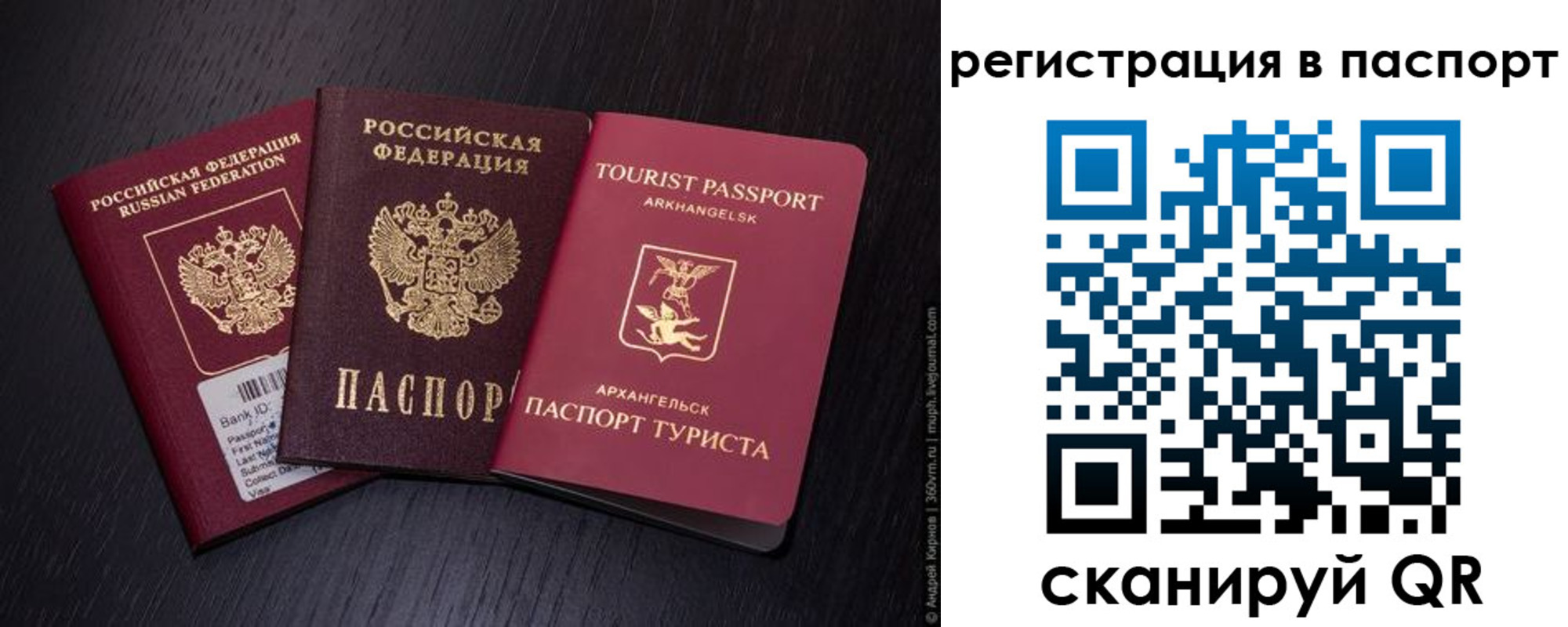 прописка в квартире в Павловске